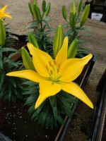 [5003 TinyDessert No02.JPG]